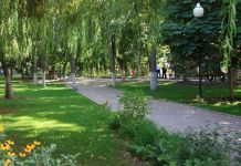 В микрорайоне Маньчжурия за 5 млн рублей обустроят сквер