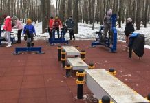 Пензенцы волнуются, что под фитнес-парк вырубят лес