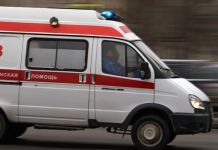На пензенской трассе под колесами “ГАЗели” погиб пешеход 