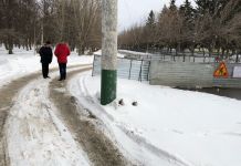 Пензенские автовладельцы вынуждены ездить по газонам