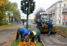 В Пензе решили сохранить арт-объект «Светофорное дерево»