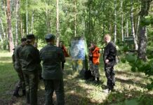 В следкоме сообщили, сколько детей пропали в Пензенской области в 2023 году