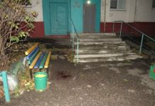 На Ладожской двое мужчин устроили резню и убили человека