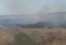 В микрорайоне Заря горит трава