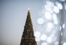 Пензенцев оставят без фейерверка на Новый год