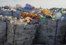 В Пензе на полигоне ТКО обнаружили опасные отходы