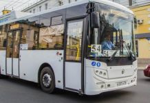 После салюта пензенцев развезут на общественном транспорте
