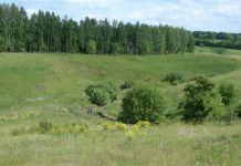 В 15 км от Пензы видели НЛО
