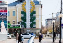 За сутки от коронавируса умерли четыре пензенца