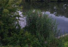 Уровень воды в Старой Суре упал на один метр