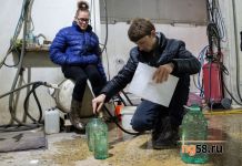 Зареченцам пришлось гонять по городу, стрелять из винтовки и разыскивать клад