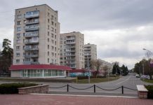 Опубликована оперативная информация по коронавирусу в Заречном