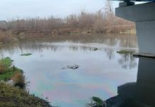 Спасатели ликвидировали нефтяное пятно на реке Пенза