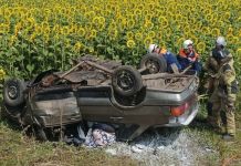 На дороге Пенза-Шемышейка в ДТП погибли три человека