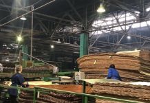 На фанерном заводе в Пензенской области выпустят новую продукцию 