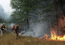 В Пензенской области сохраняется высокая опасность лесных пожаров