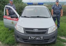 В Шемышейке росгвардейцы вернули домой 5-летнюю девочку