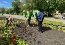 В Пензе к лету планируется высадить 300 тысяч цветов