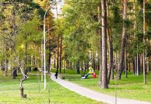 Зареченцы могут проголосовать за благоустройство городских территорий