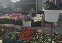 Пензенцев приглашают на дачную ярмарку 26 апреля