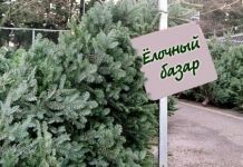 Пензенцам сообщили о ценах на елки в этом году