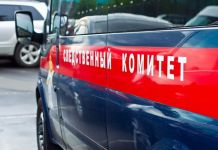 Под Пензой мать исколола своего шестилетнего сына ножом 