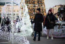 Пензенцев просят выбрать лучший новогодний арт-объект 
