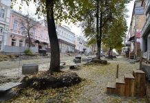 Липы на Московской могут не выжить ﻿