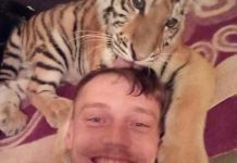 Пензенец живет в одной комнате с хищником