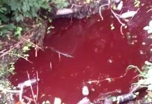 Под Пензой обнаружили багровую реку