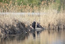 В Пензе места отдыха у воды благоустроят к 20 мая 