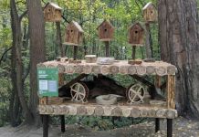 В Заречном устроили столовую для лесных птиц и белок