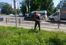 В Пензе пройдет общегородской субботник