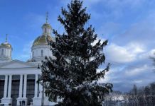 Пензу украсят более 50 новогодних елок