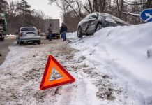 Под Пензой водитель микроавтобуса сбил лося