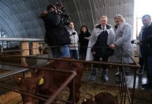 В Пензенской области увеличился объем производства молока 