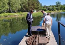 В Заречном планируют улучшить состояние прудов