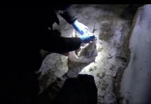 За наркотики пензенцу грозит пожизненное