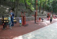 В Пензе планируют продлить обновленную Тропу здоровья