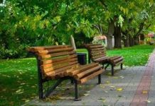 ﻿В Пензе на Южной поляне разобьют новый сквер