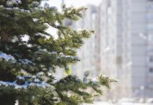 ﻿﻿﻿В Пензу придет оттепель