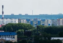 Итоги недели: грибы, алкоголь, канатка, медведи, фонтан