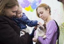 Благотворительный фонд «Лохматый друг» прекратил прием животных