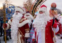 В Пензе Деды Морозы посчитали свои елки 
