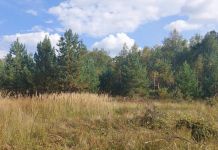 На территории Пензенской области сбили два беспилотника