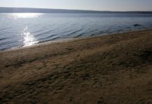 В Шемышейском районе во время отдыха с друзьями утонул мужчина