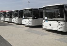 В Пензе новые автобусы не будут перекрашивать в желто-зеленый цвет