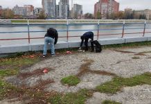 Пензенцам сообщили, когда уберут забор на набережной Суры