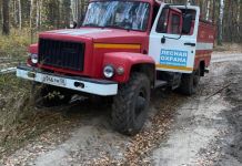 В Пензенской области с 25 марта начнется пожароопасный период