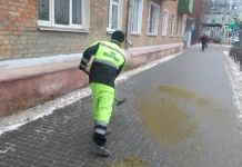 В Пензе для уборки дворовых территорий не хватает дворников